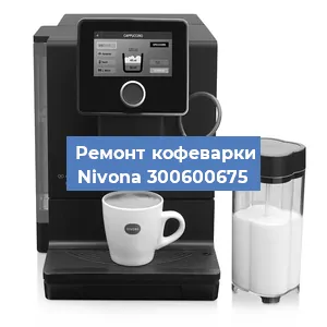 Замена ТЭНа на кофемашине Nivona 300600675 в Перми
